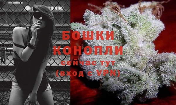 дмт Магадан
