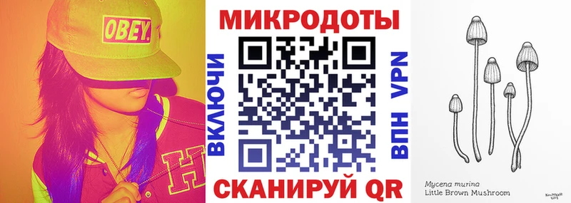 Купить закладки  Почеп  Галлюциногенные грибы Magic Shrooms 